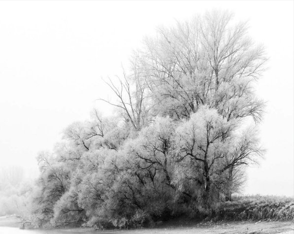 Weißes Winter-Mysterium